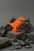 Tyrannosaurus - Kit en carton Assembli Fluor Orange