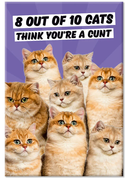 8 Out Of 10 Cats Think... - Magnet 5,5x8 cm Dean Morris Cards 