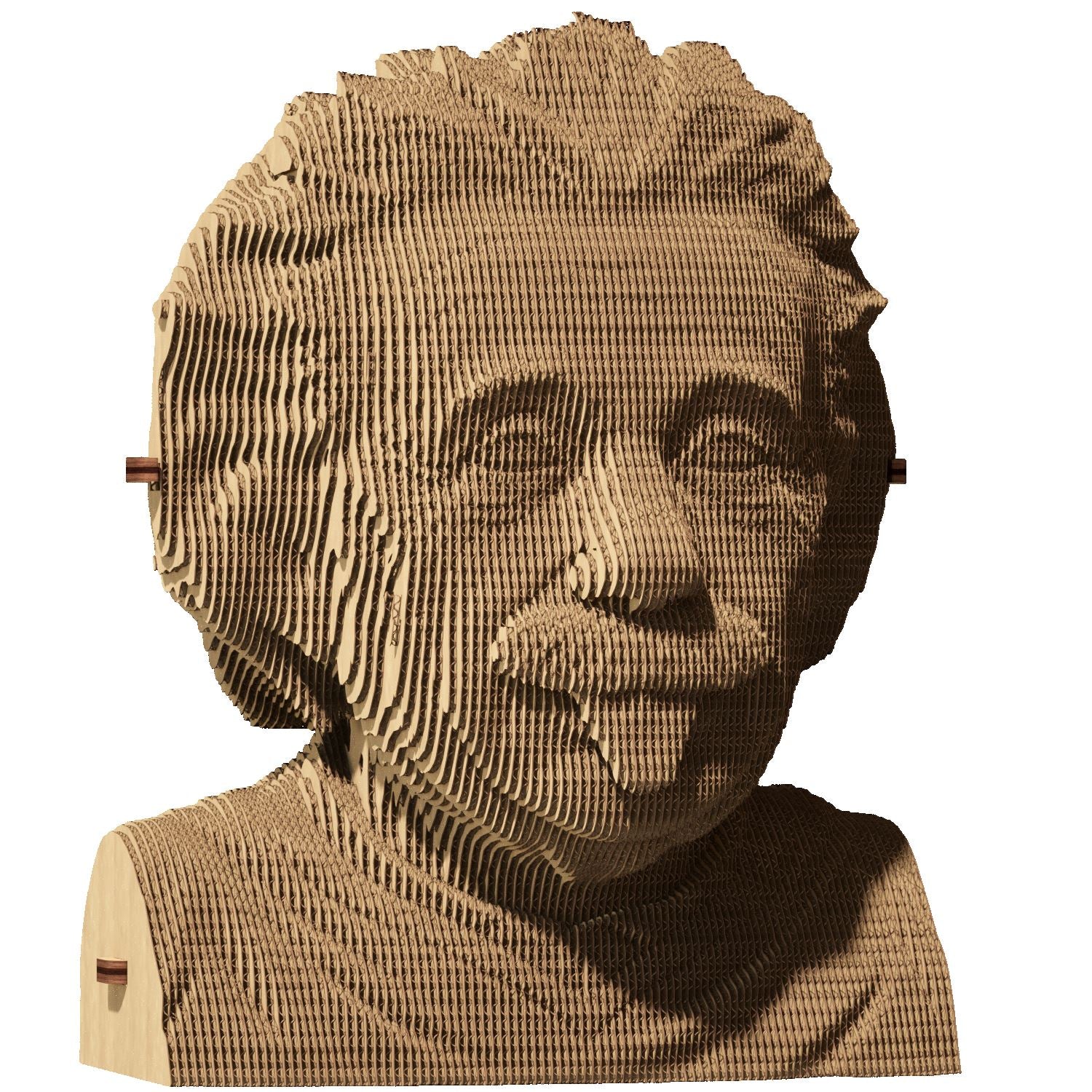 Albert Einstein - Puzzle 3D Cartonic 