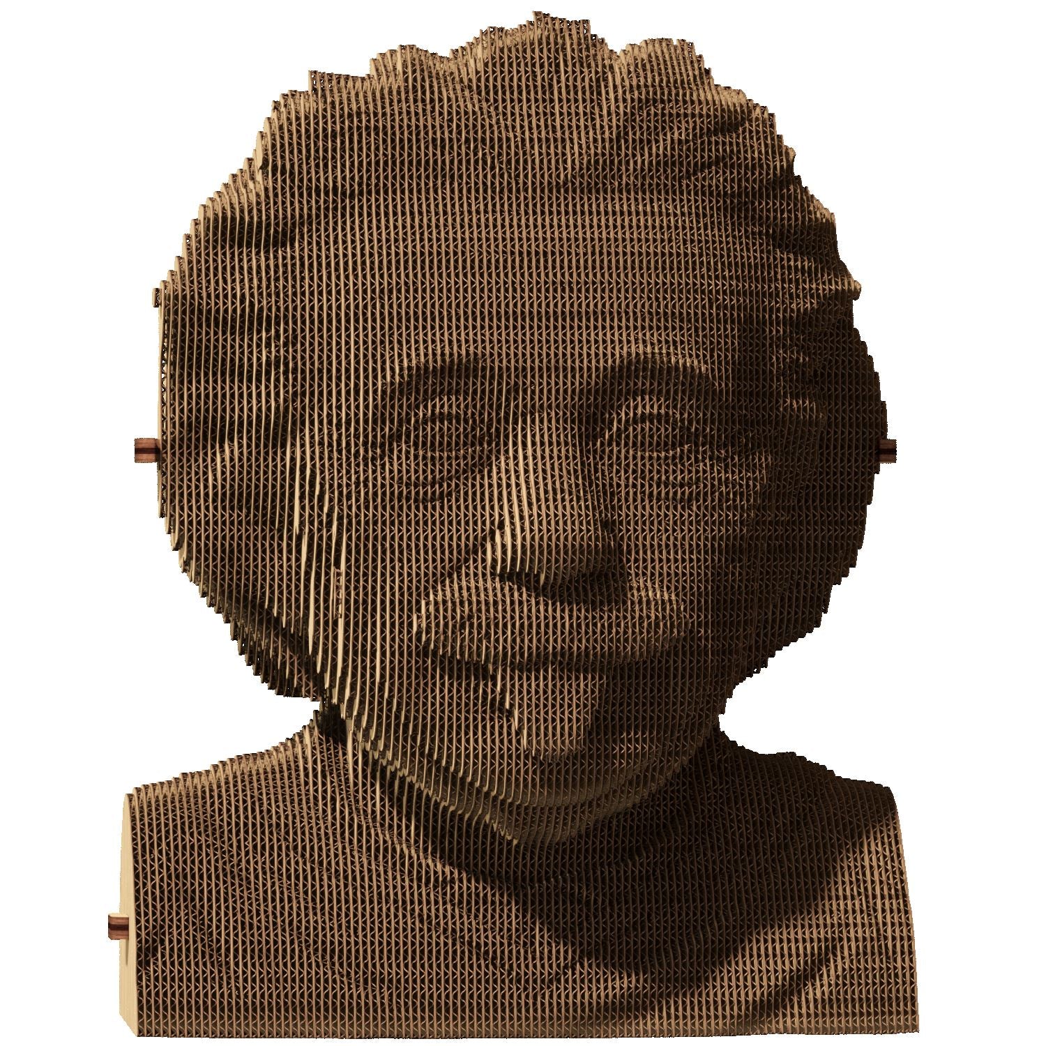 Albert Einstein - Puzzle 3D Cartonic 