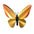 Birdwing Butterfly - Kit insecte en carton Assembli 