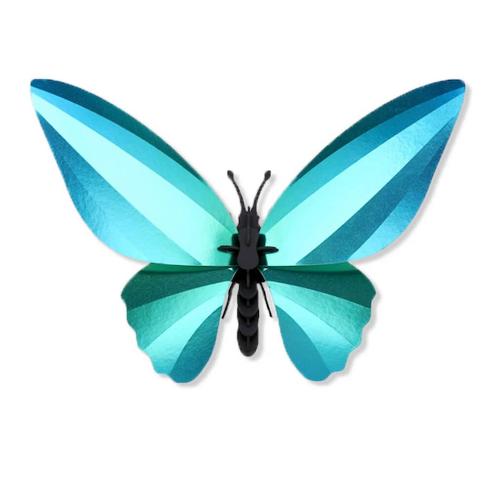Birdwing Butterfly - Kit insecte en carton Assembli 