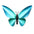 Birdwing Butterfly - Kit insecte en carton Assembli 