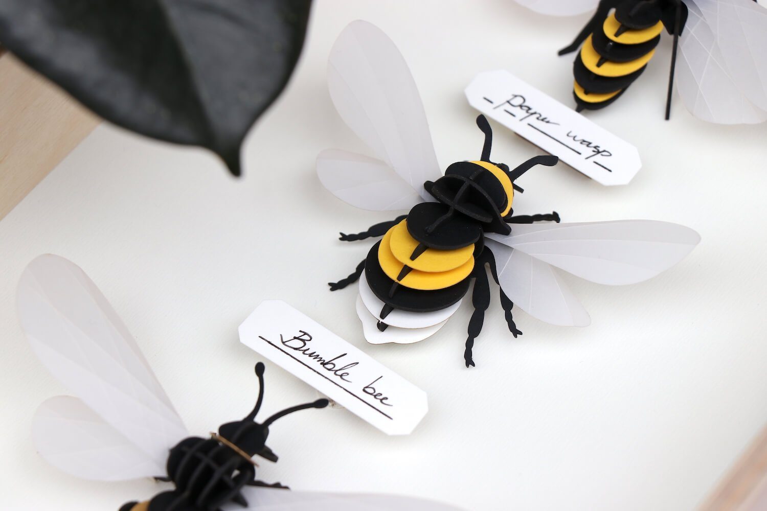 Bumble Bee - Kit insecte en carton Assembli 