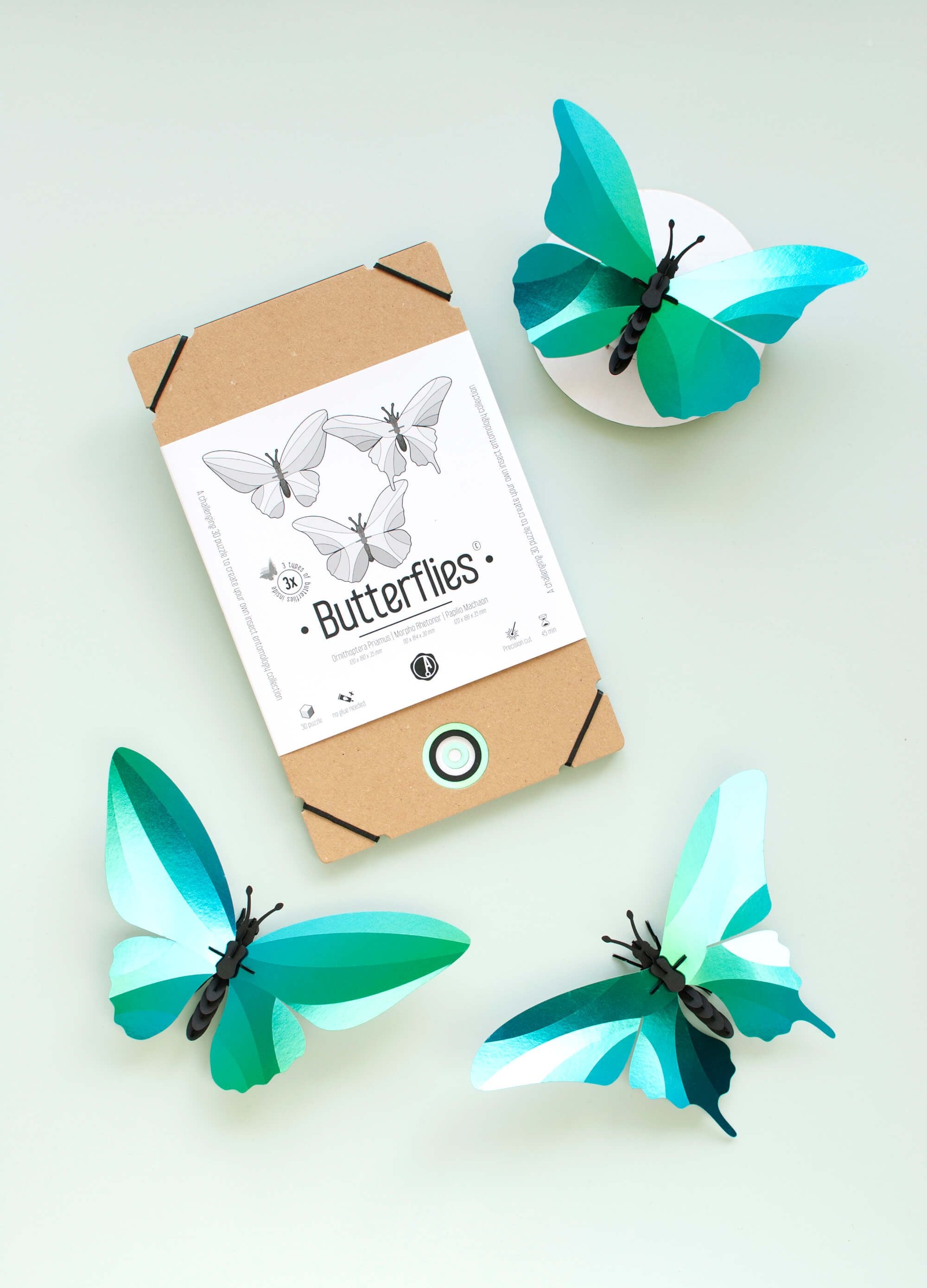 Butterfly x3 - Kit insecte en carton Assembli 