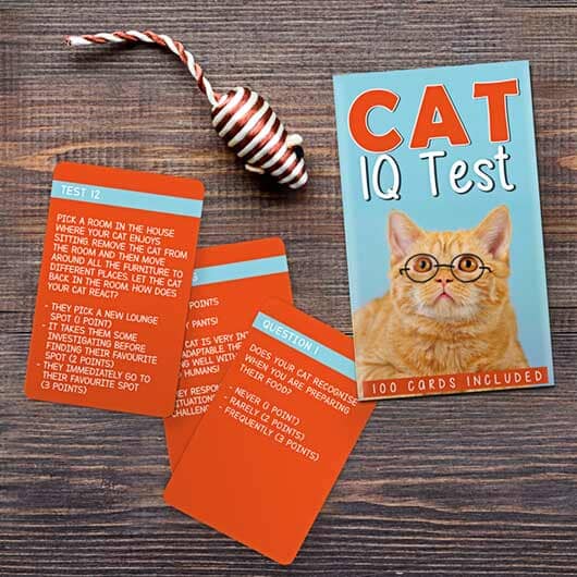 Cat IQ Test - Jeu Gift Republic 