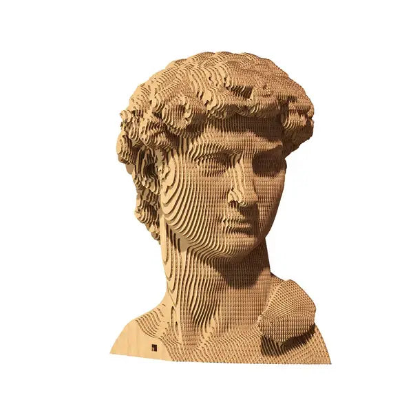 David - Puzzle 3D Cartonic 