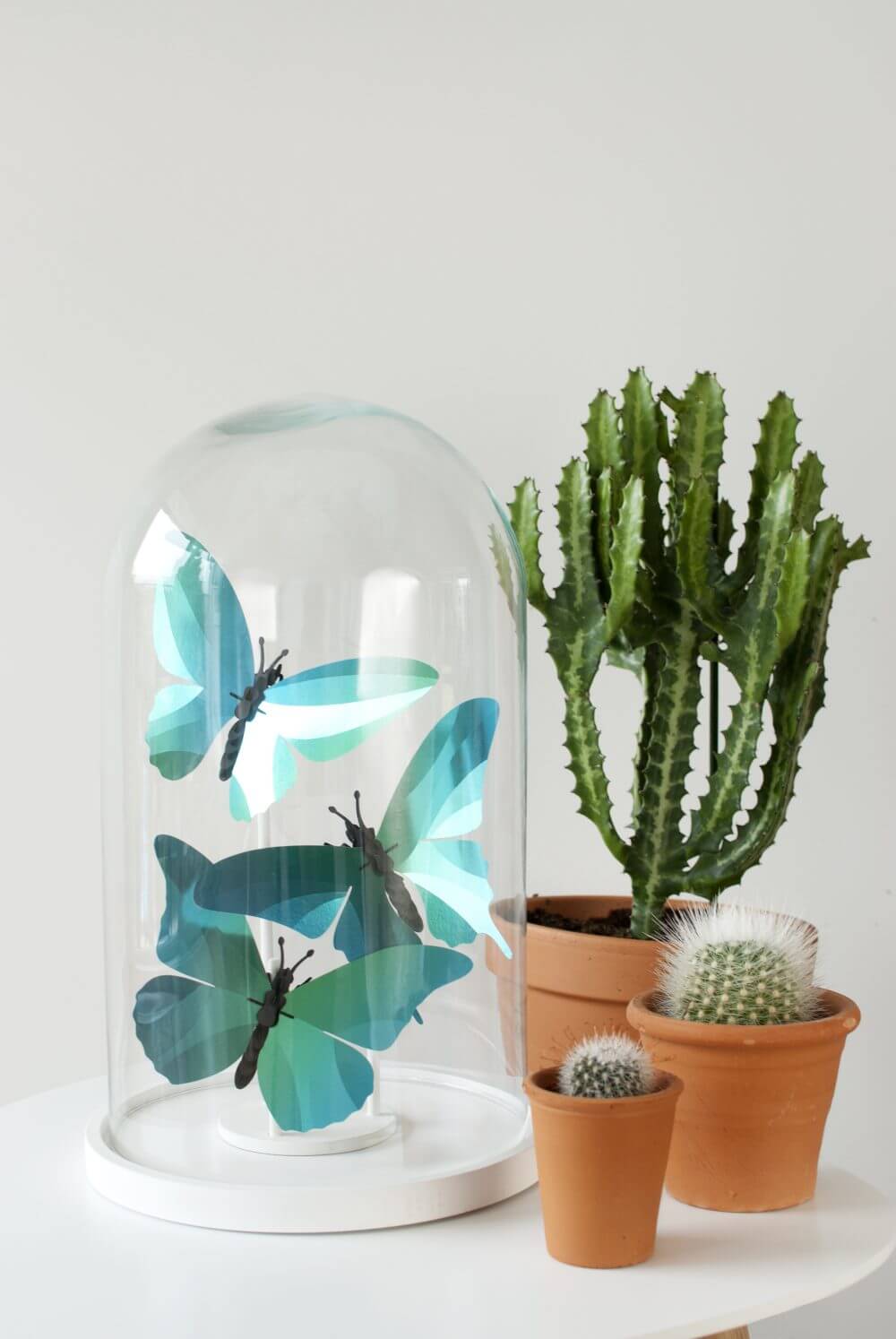 Giant Silk Butterfly - Kit insecte en carton Assembli 