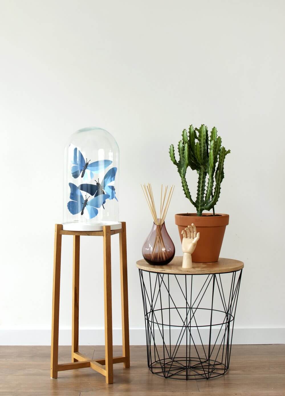 Giant Silk Butterfly - Kit insecte en carton Assembli 
