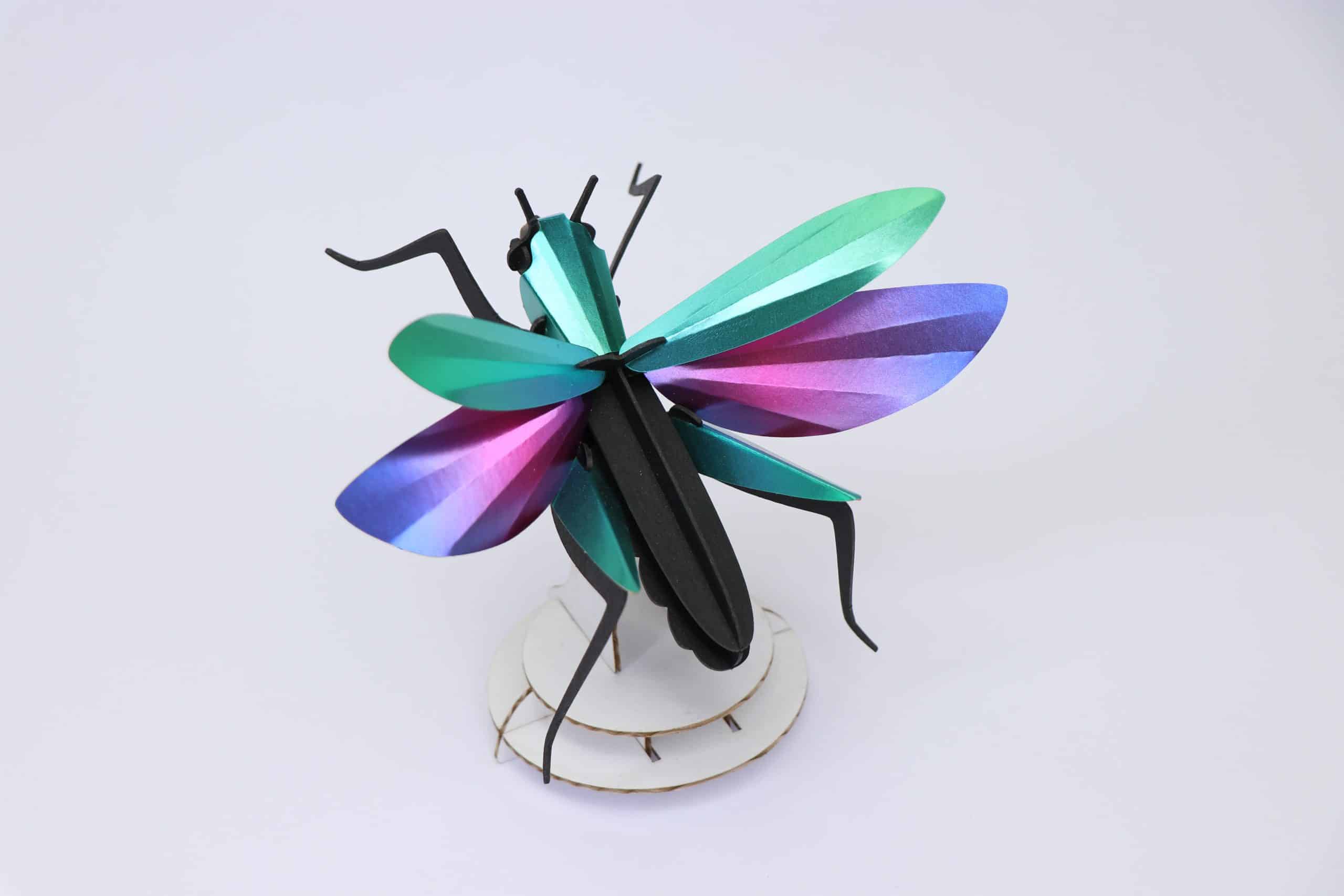 Grasshopper - Kit insecte en carton Assembli 