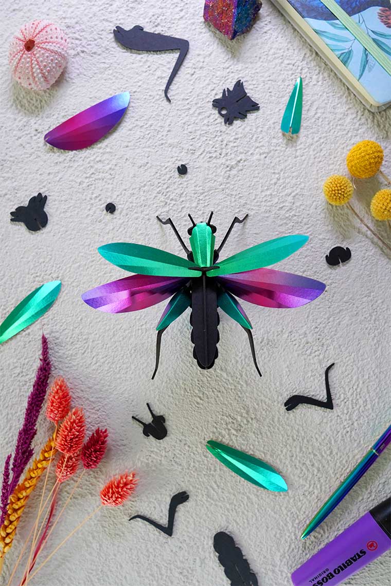 Grasshopper - Kit insecte en carton Assembli 