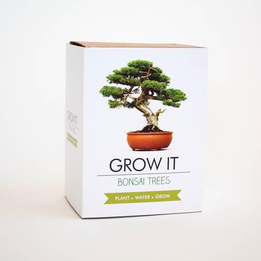 Grow IT - Bonsai Trees Gift Republic 