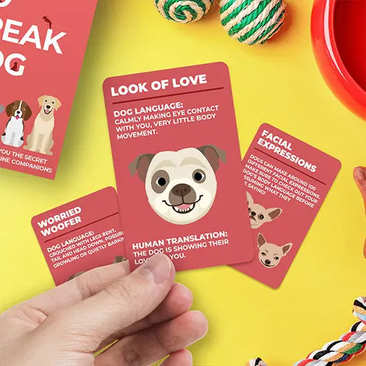 How to speak dog - Set de cartes Gift Republic 