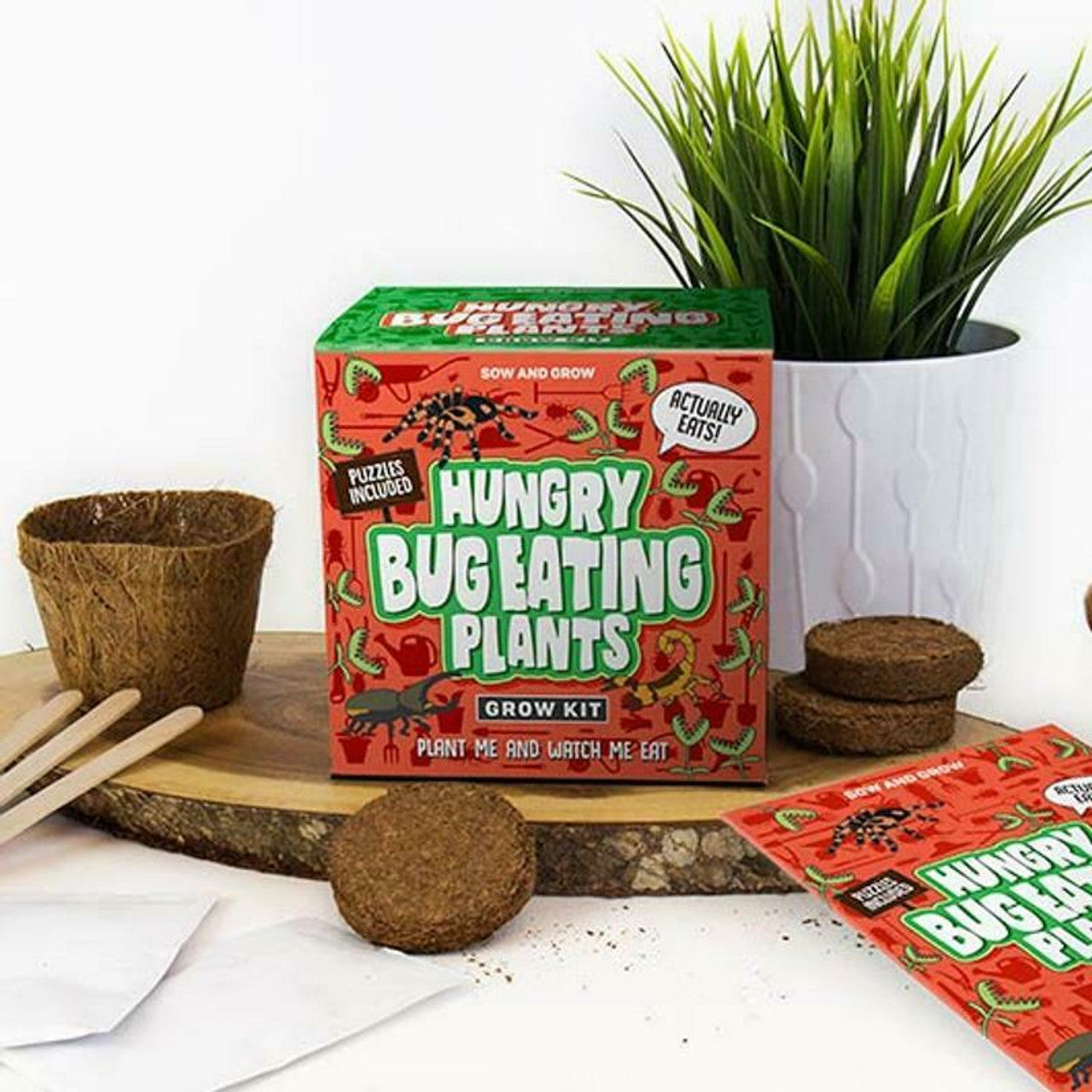 Hungry bug eating - Kit plantes carnivores Gift Republic 