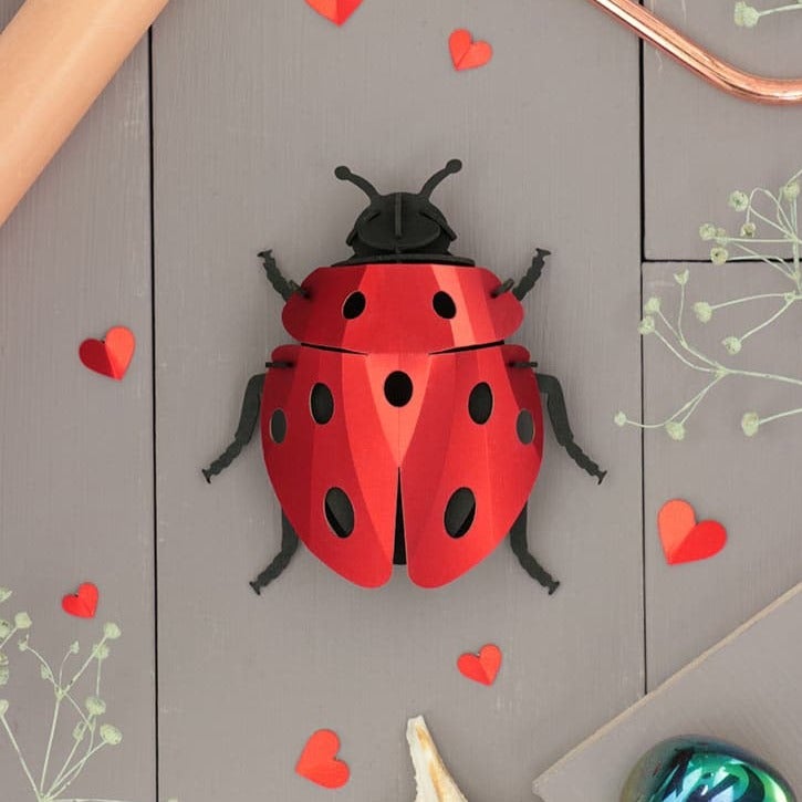 Ladybug - Insecte en carton Assembli 