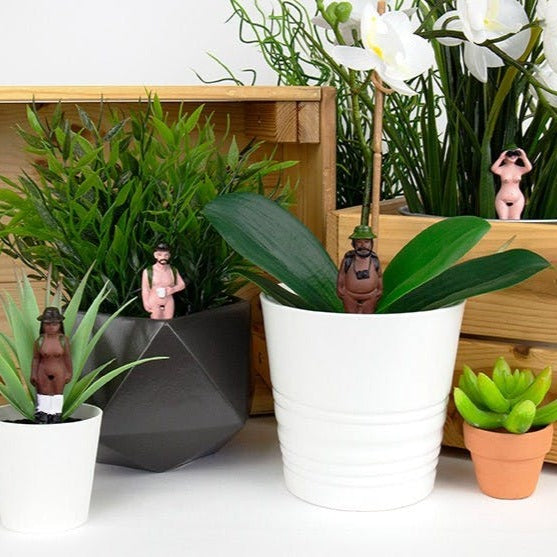 Naked Ramblers - Décoration de plantes x4pcs Gift Republic 