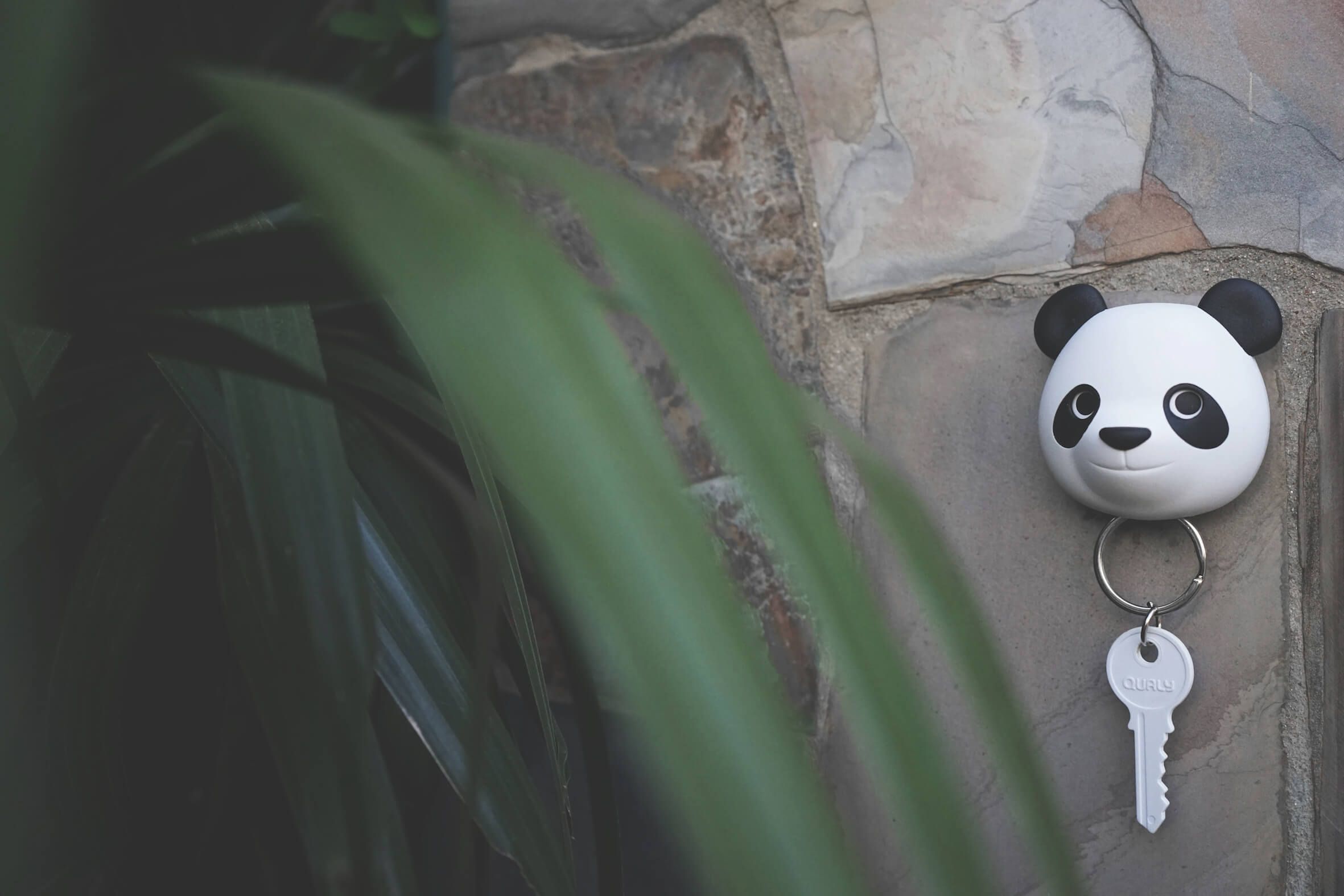 Pandy Key Holder - Porte-clé mural Qualy 