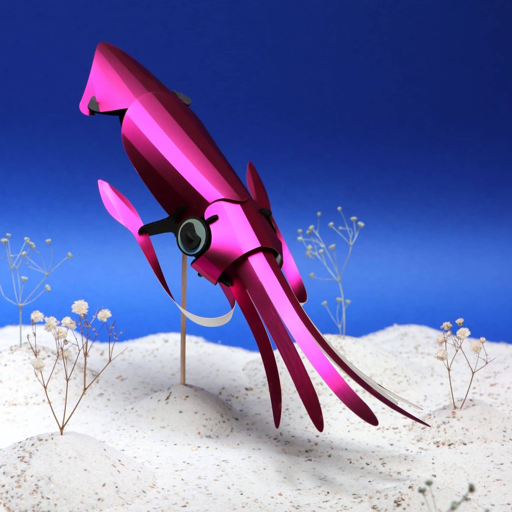 Squid - Calmar à assembler Assembli 