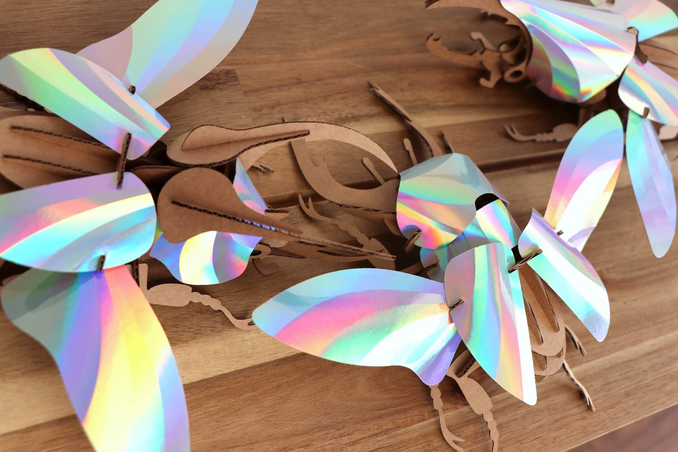 Stag Beetle - Kit insecte en carton Assembli 