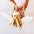 Stag Beetle - Kit insecte en carton Assembli 