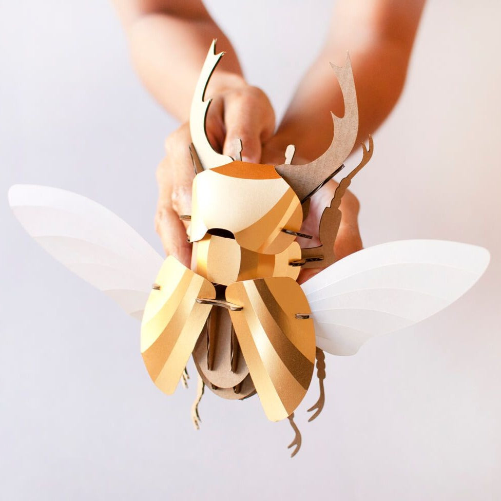 Stag Beetle - Kit insecte en carton Assembli 