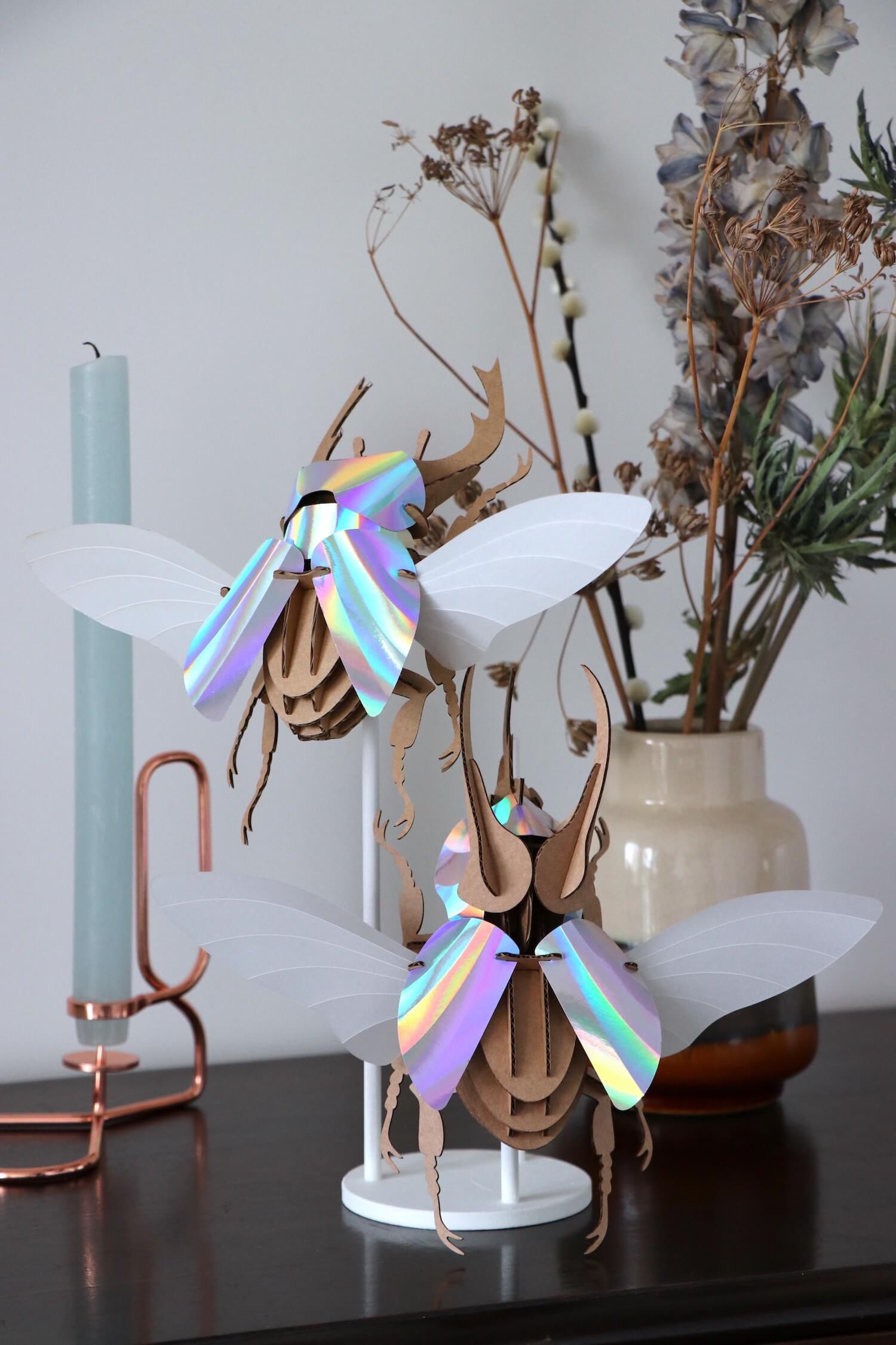 Stag Beetle - Kit insecte en carton Assembli 