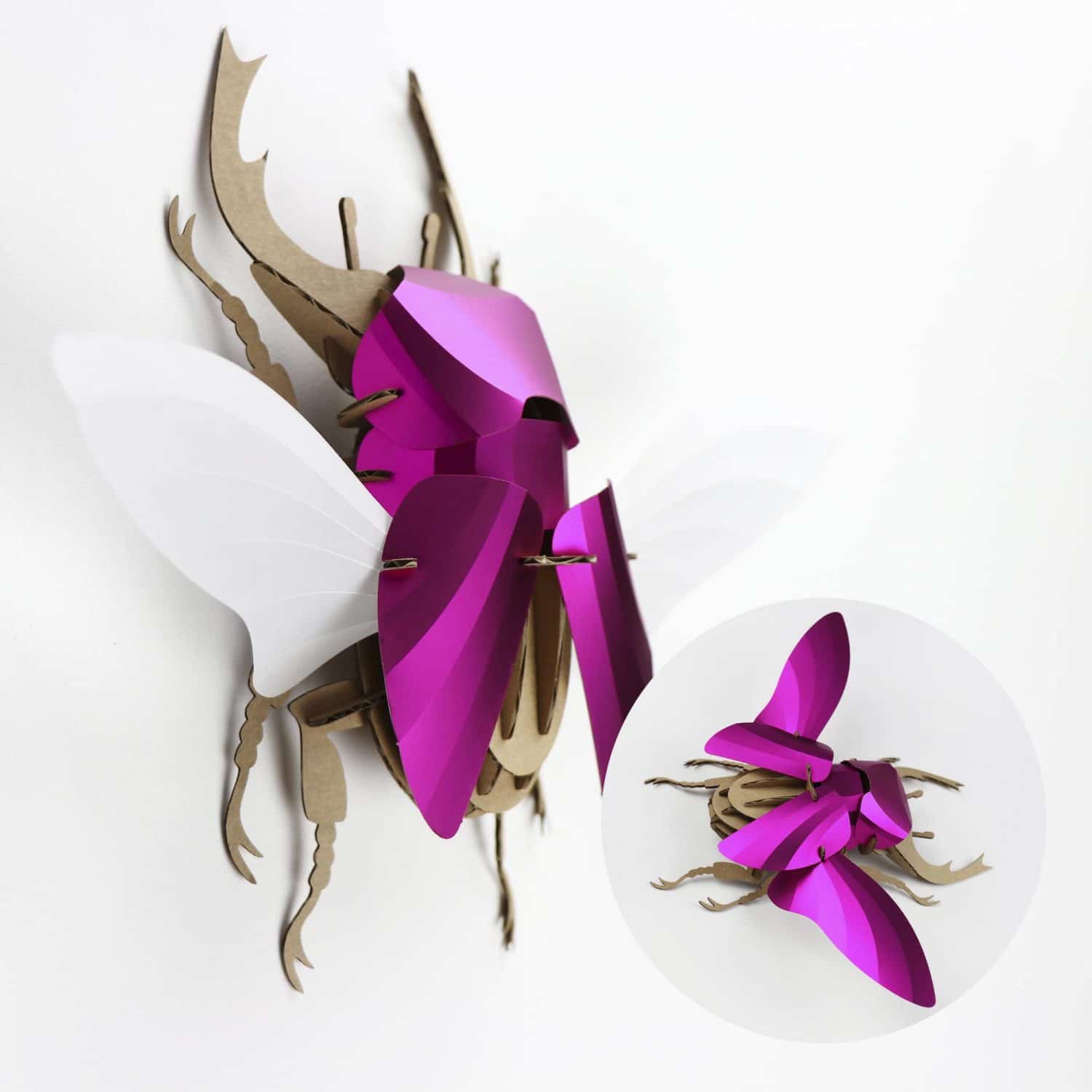 Stag Beetle - Kit insecte en carton Assembli Pink metallic 