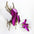 Stag Beetle - Kit insecte en carton Assembli Pink metallic 