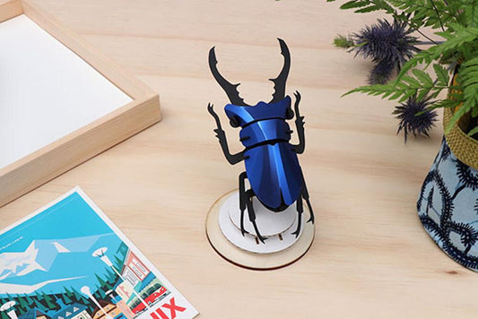 Stag Beetle small - Kit insecte en carton Assembli 