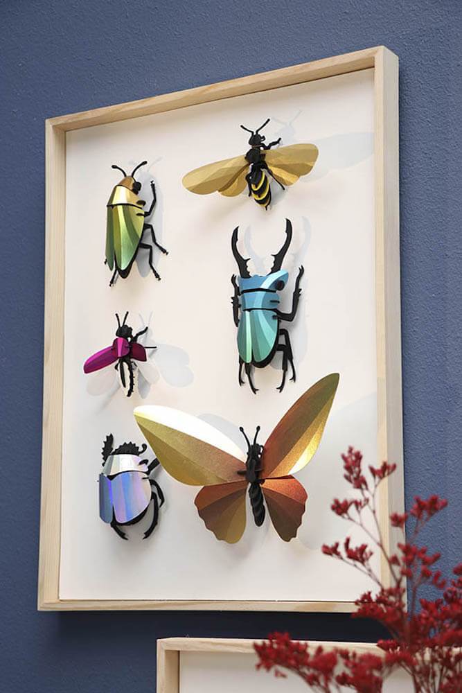Stag Beetle small - Kit insecte en carton Assembli 