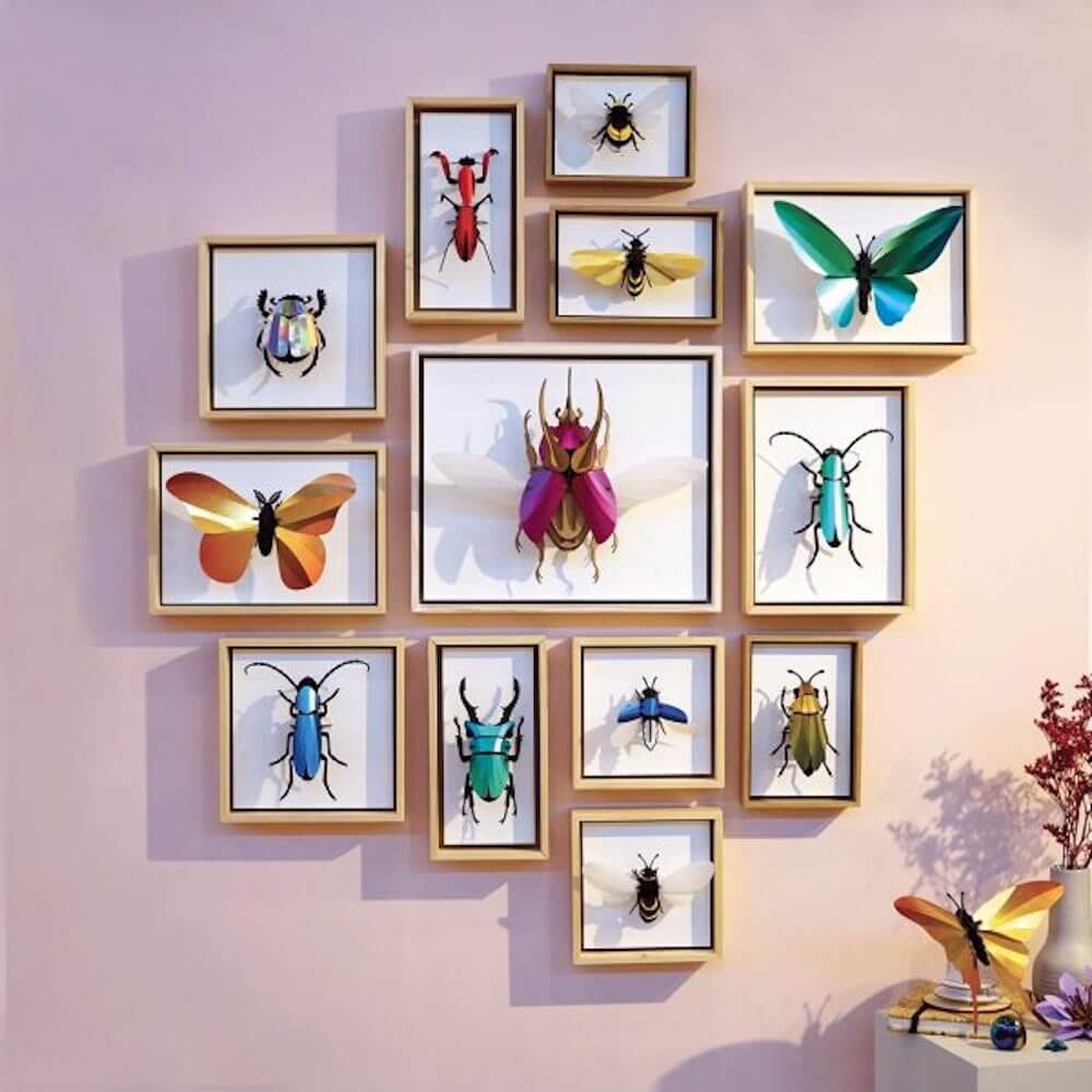 Stag Beetle small - Kit insecte en carton Assembli 