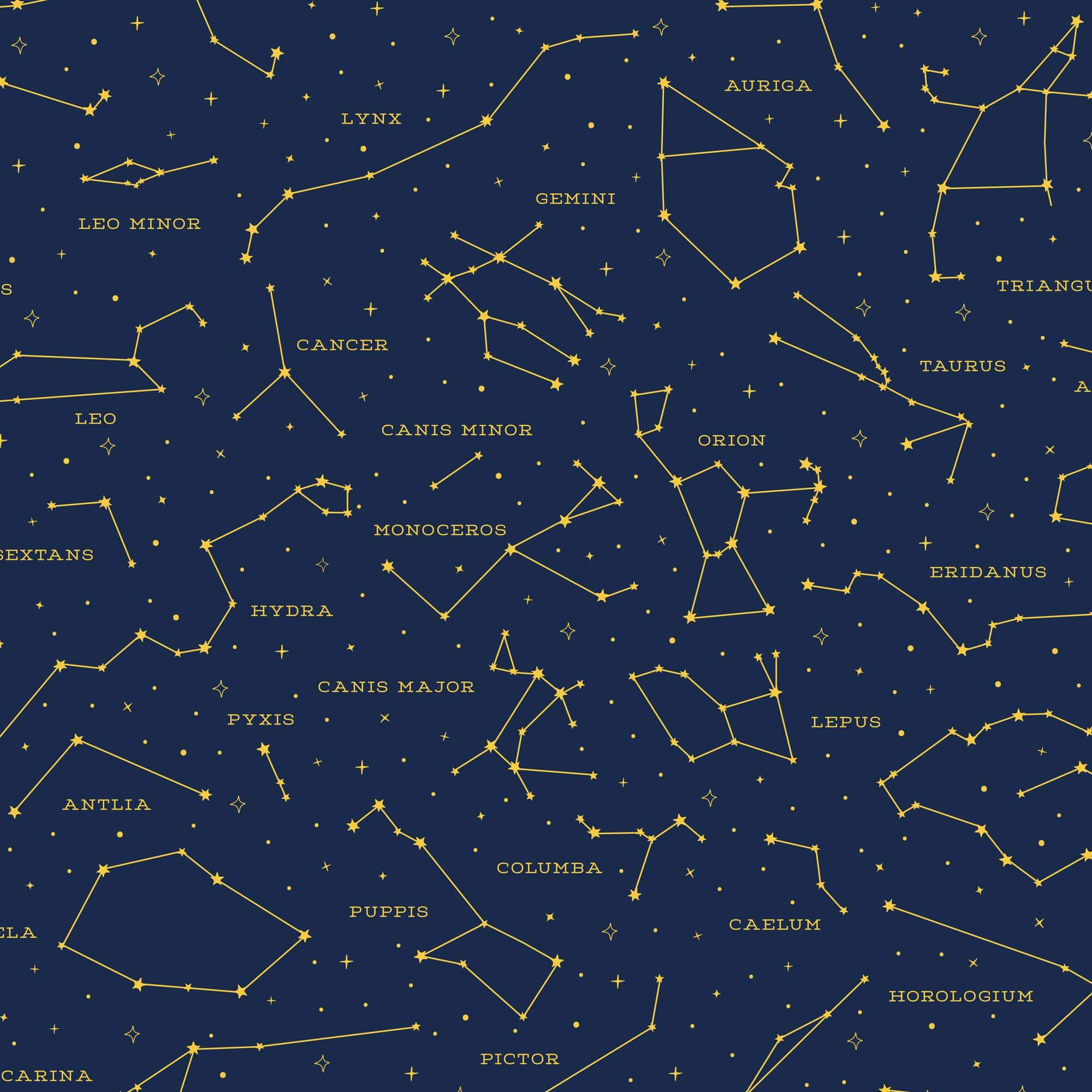 Wrapping Paper - Rouleau papier cadeau 70x200 cm Legami 