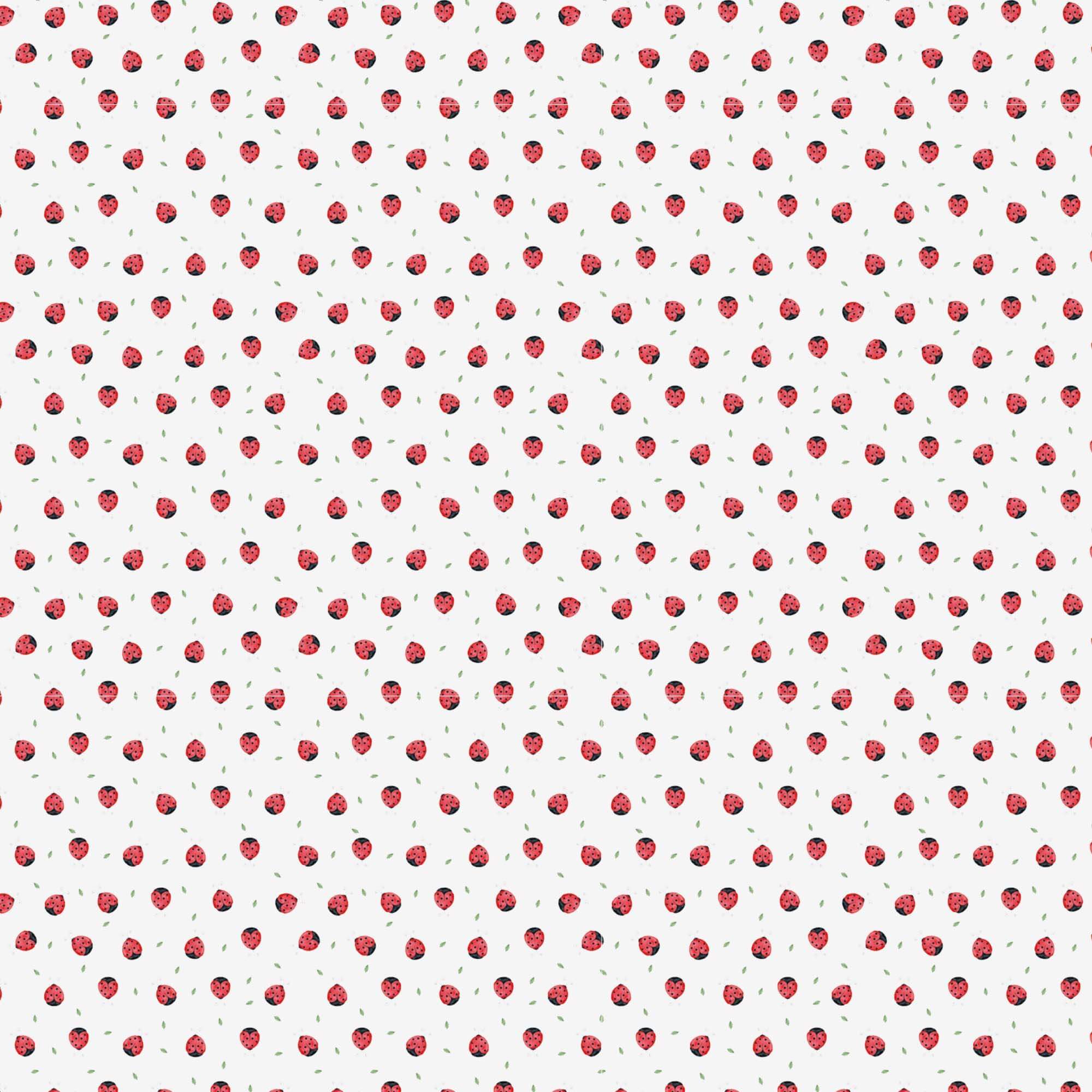 Wrapping Paper - Rouleau papier cadeau 70x200 cm Legami 