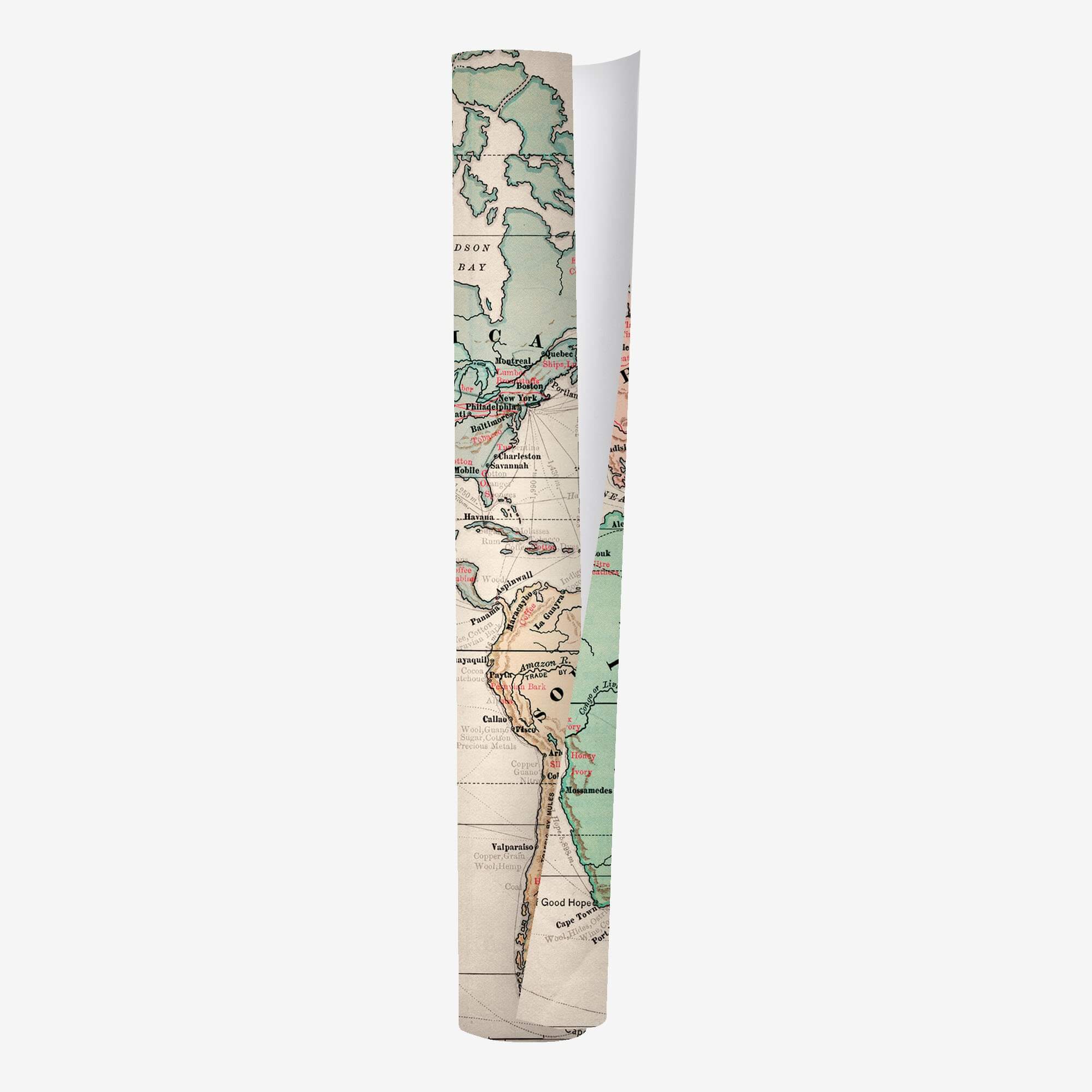 Wrapping Paper - Rouleau papier cadeau 70x200 cm Legami 